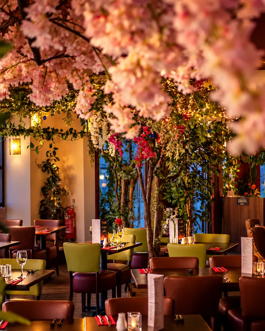Blossom branches over the dining room